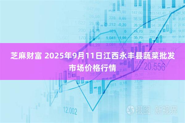 芝麻财富 2025年9月11日江西永丰县蔬菜批发市场价格行情