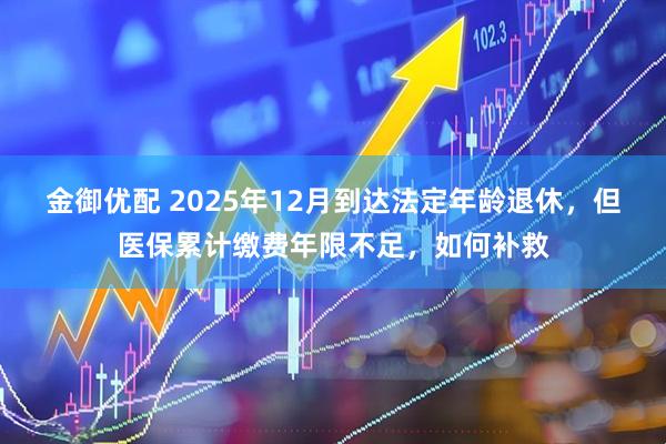 金御优配 2025年12月到达法定年龄退休，但医保累计缴费年限不足，如何补救